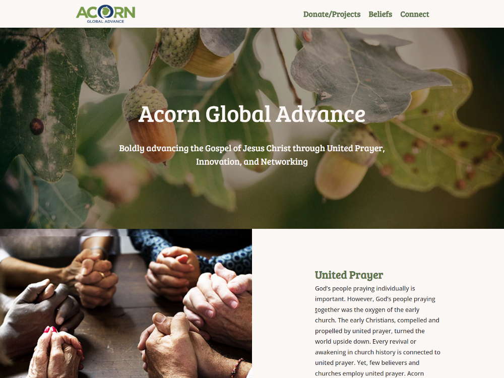 Web Design Case Study - Acorn Global Advance